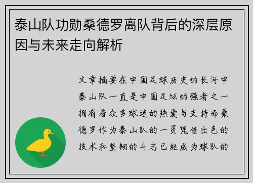 泰山队功勋桑德罗离队背后的深层原因与未来走向解析